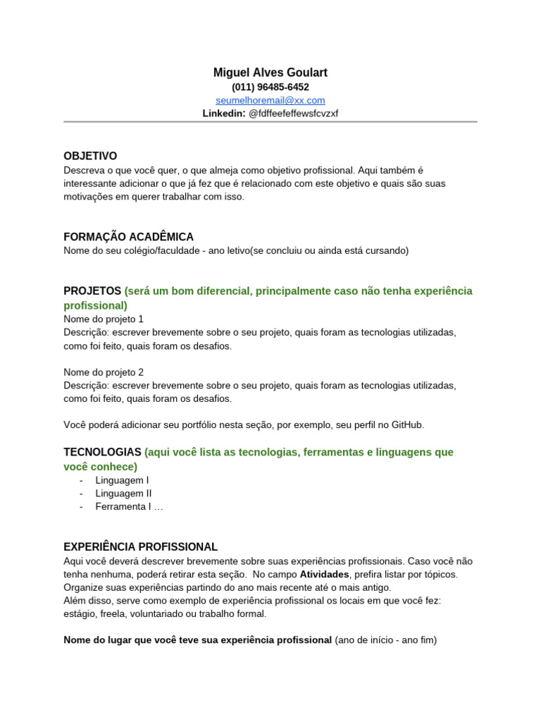 CV+-+Exemplo (1) | PDF