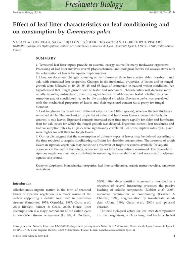 Leaf Litter Conditioning and Gammarus Pulex Consumption | PDF ...