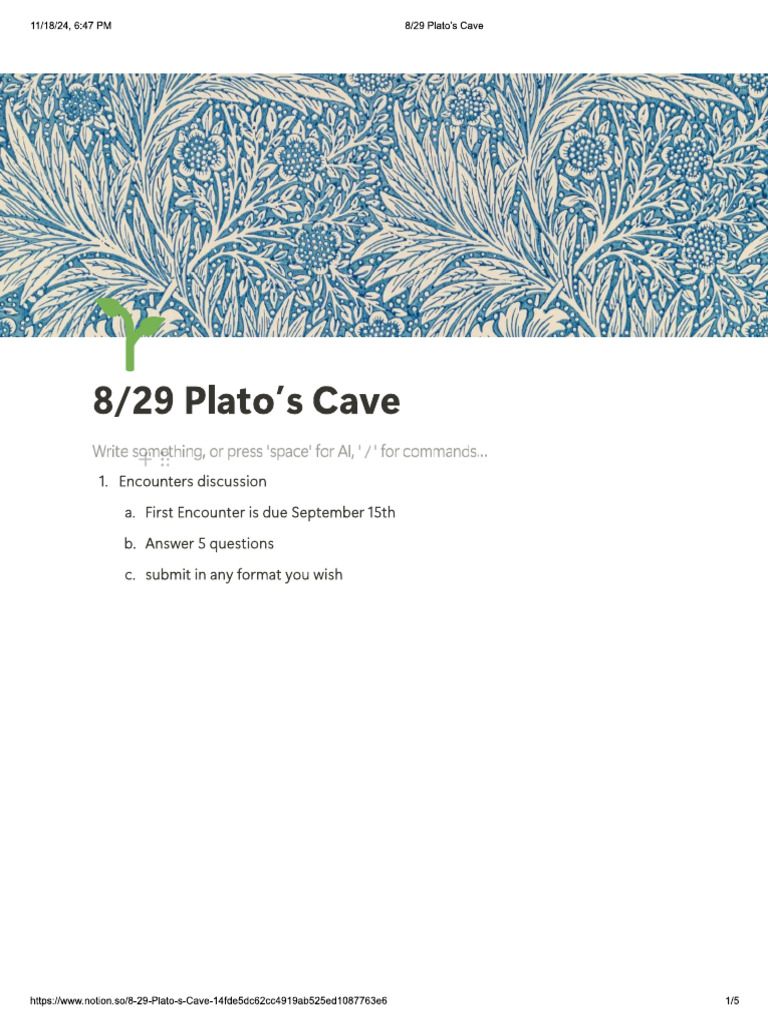 Plato's Cave Notes | PDF
