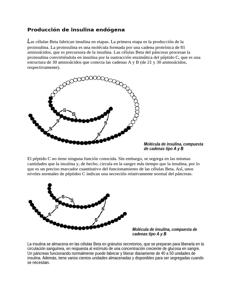 Producción de insulina endógena y proinsulina | PDF | Insulina | Glucógeno