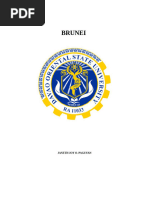 History of the Brunei Sultanate | PDF | Brunei | Strait Of Malacca