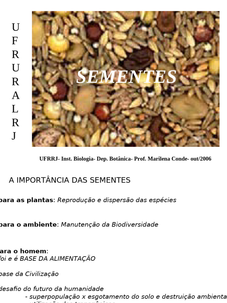 Importância e Germinação das Sementes | PDF | Semente | Plantas