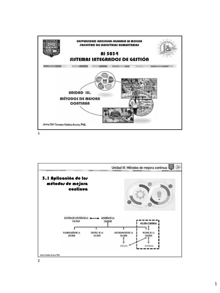 Cap 3 Métodos para Trabajar Con Calidad 2023-II | PDF | Lean ...