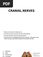 Cranial Nerves Mnemonics for Students | PDF