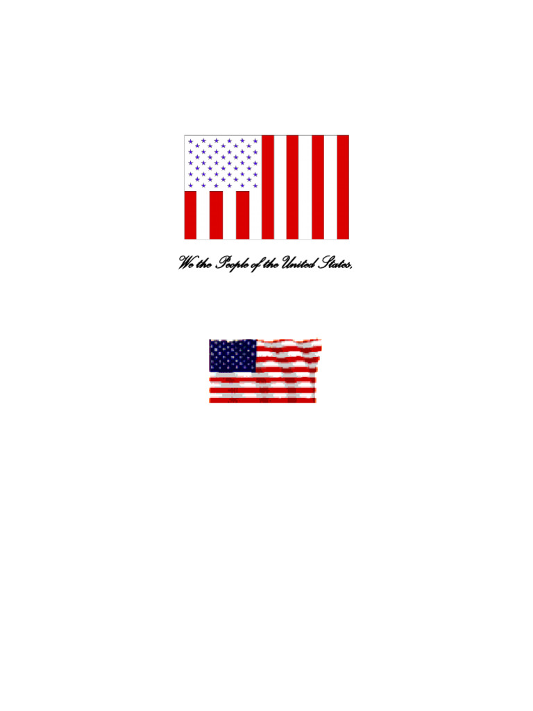 History of The Us Civil Flag | PDF | Flag Of The United States | Flag