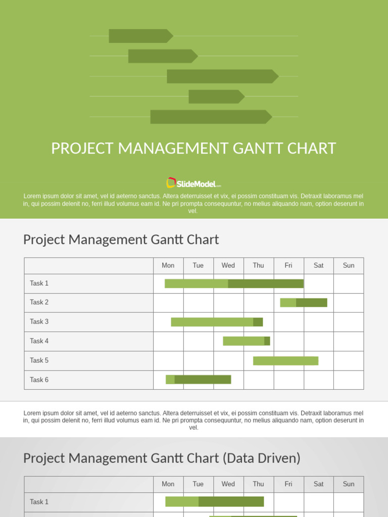 Project Management Gantt Chart Guide | PDF