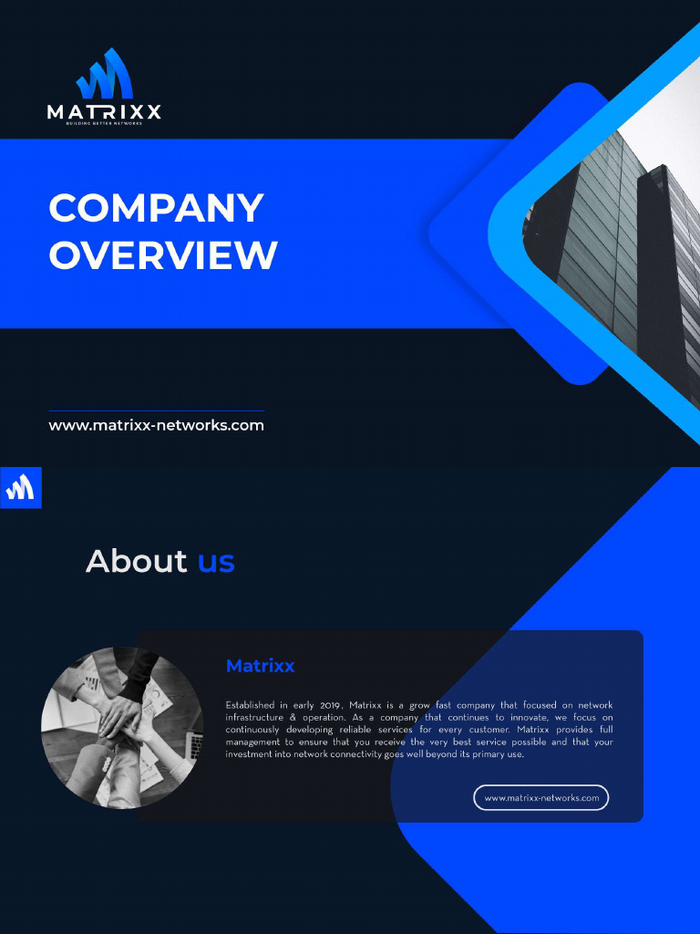 Company Profile Matrixx 20224 | PDF