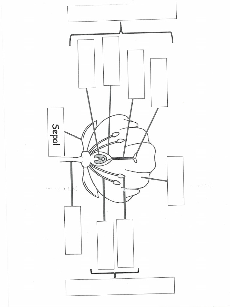 Lesson 3 Sheet 1 | PDF
