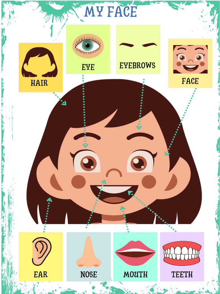 Face Parts Matching Activity | PDF | Language Arts & Discipline