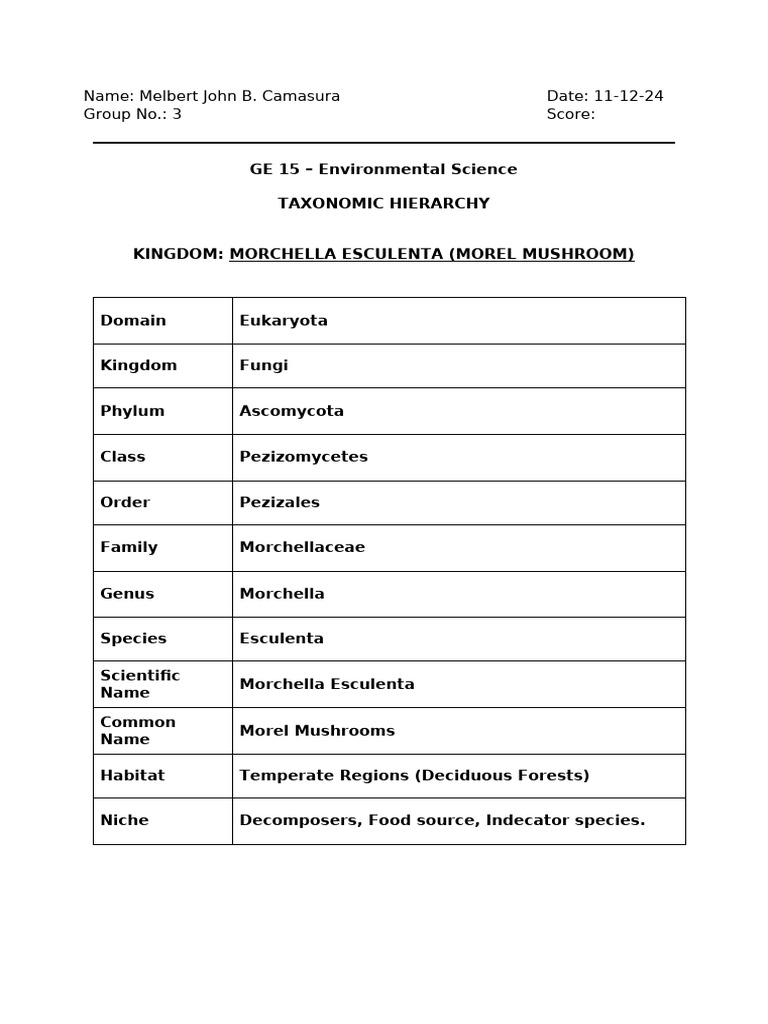 TAXONOMY DEFINITION HIERARCHY EXAMPLE IMPORTANCE intelligence overview