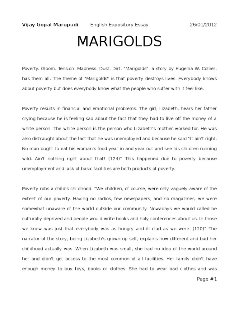 How to write an expository paper picture