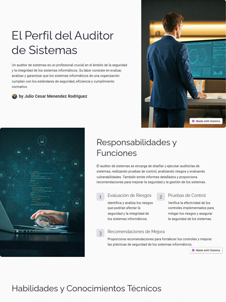 Perfil Del Auditor de Sistemas | PDF | La seguridad informática | Seguridad