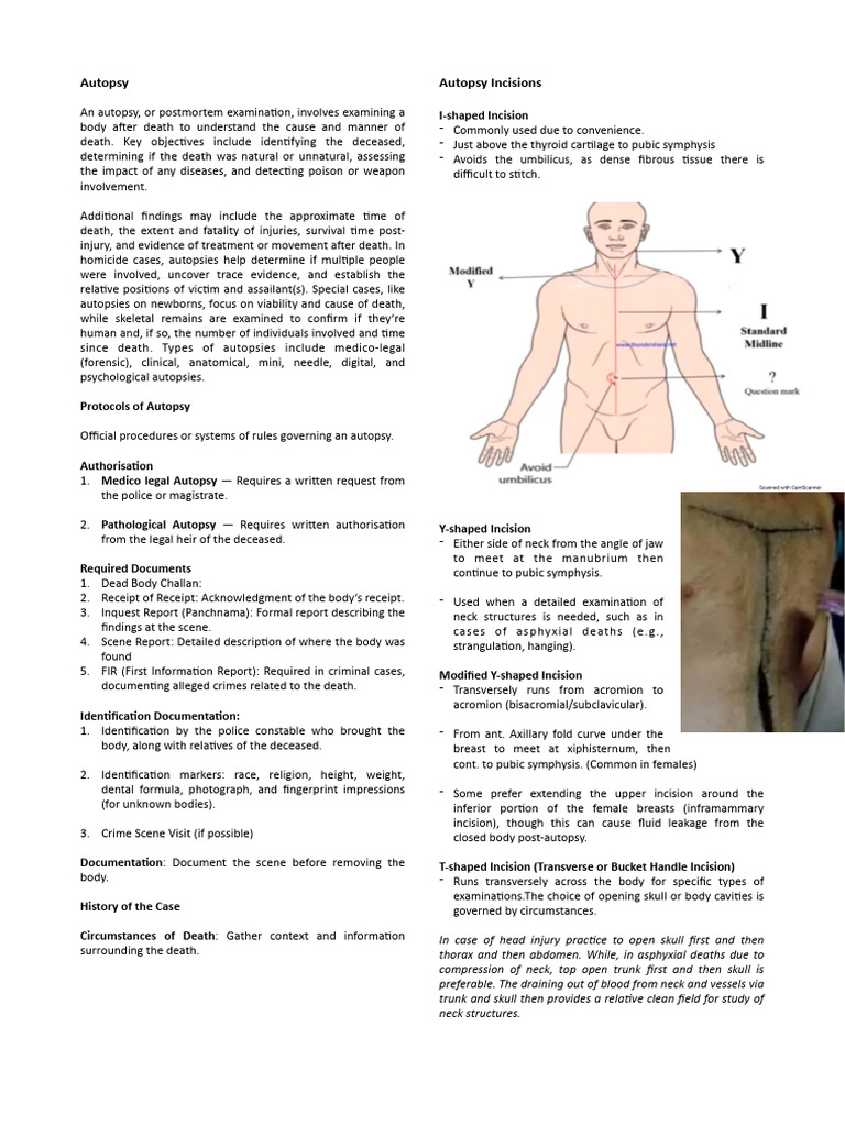 Autopsy PDF Autopsy Lung