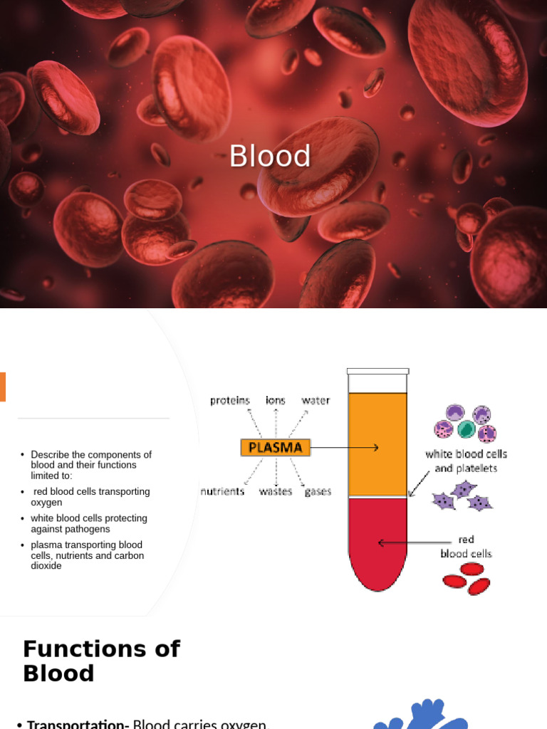 CH 2 - Blood | PDF