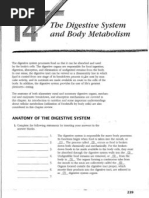 Download A  P Chapter 14 Packet by Kester Small SN79418700 doc pdf