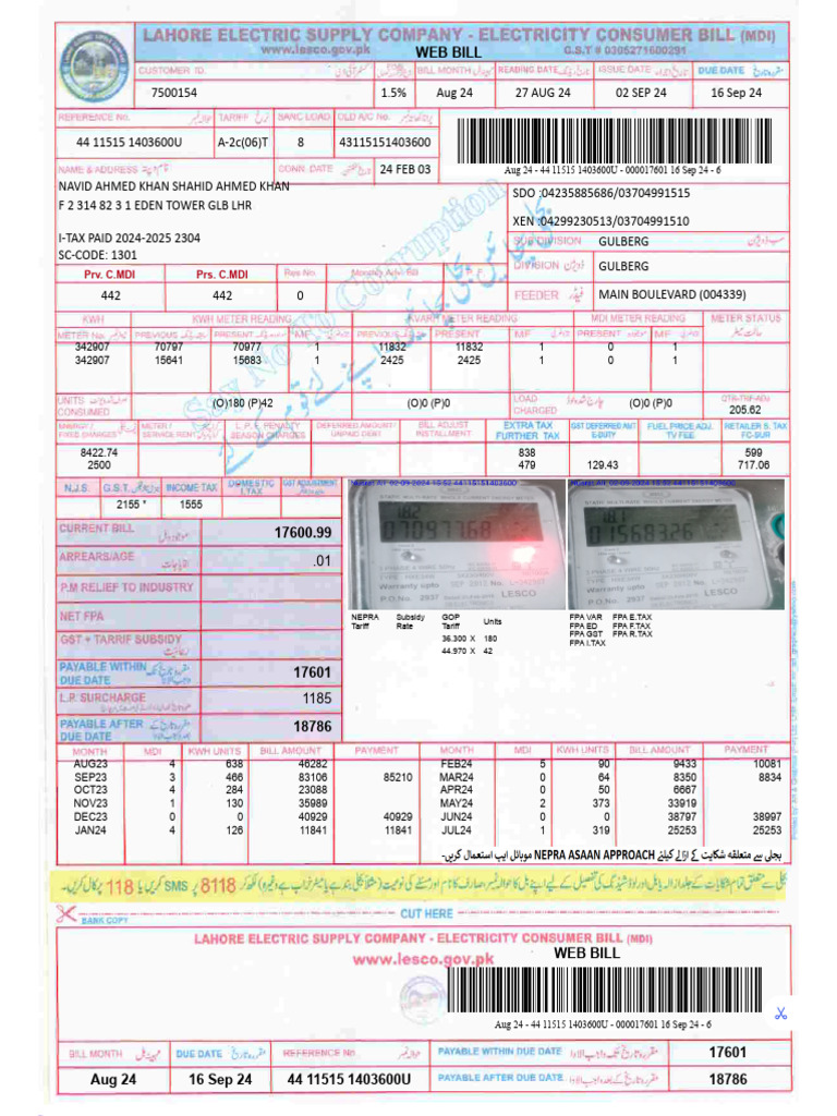 LESCO WEB BILL visual data 2