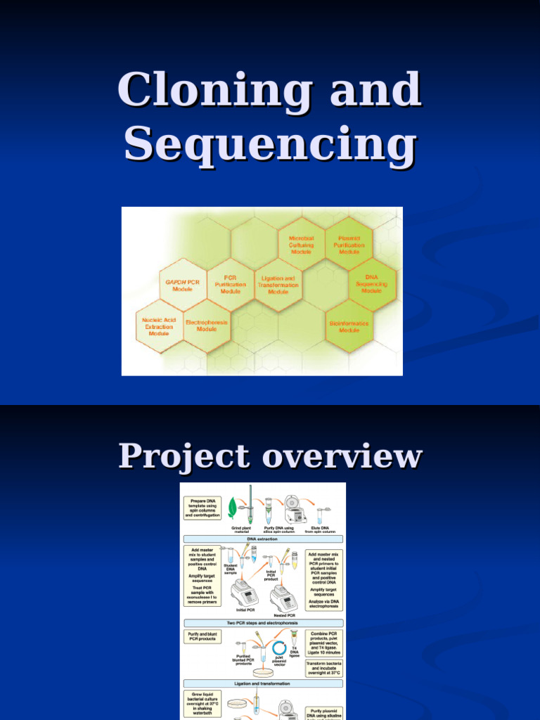 Cloning and Sequencing GAPC Gene | PDF | Primer (Molecular Biology ...
