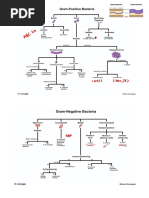 6 Antibiotic Abbreviations | PDF | Clinical Medicine | Antibiotics