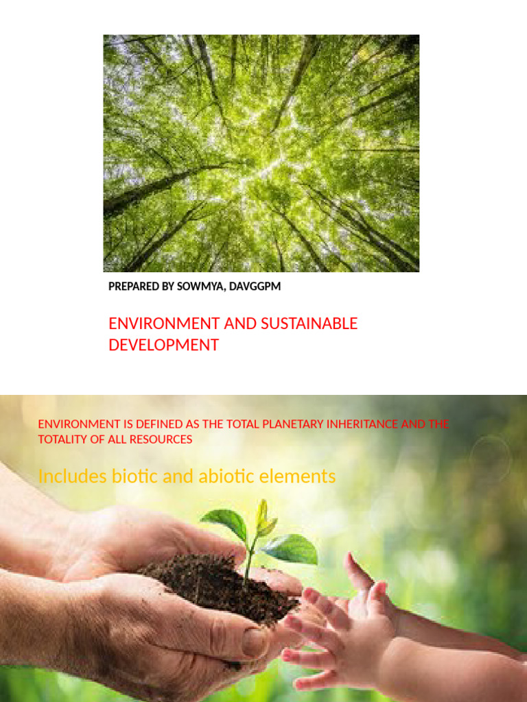 Environmental Challenges and Solutions | PDF | Natural Environment | Soil
