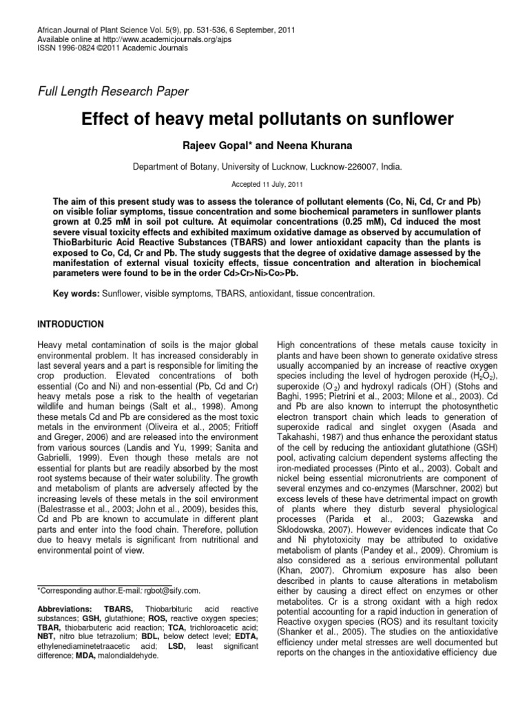 Heavy Metal Impact on Sunflower Growth | PDF | Antioxidant | Reactive ...