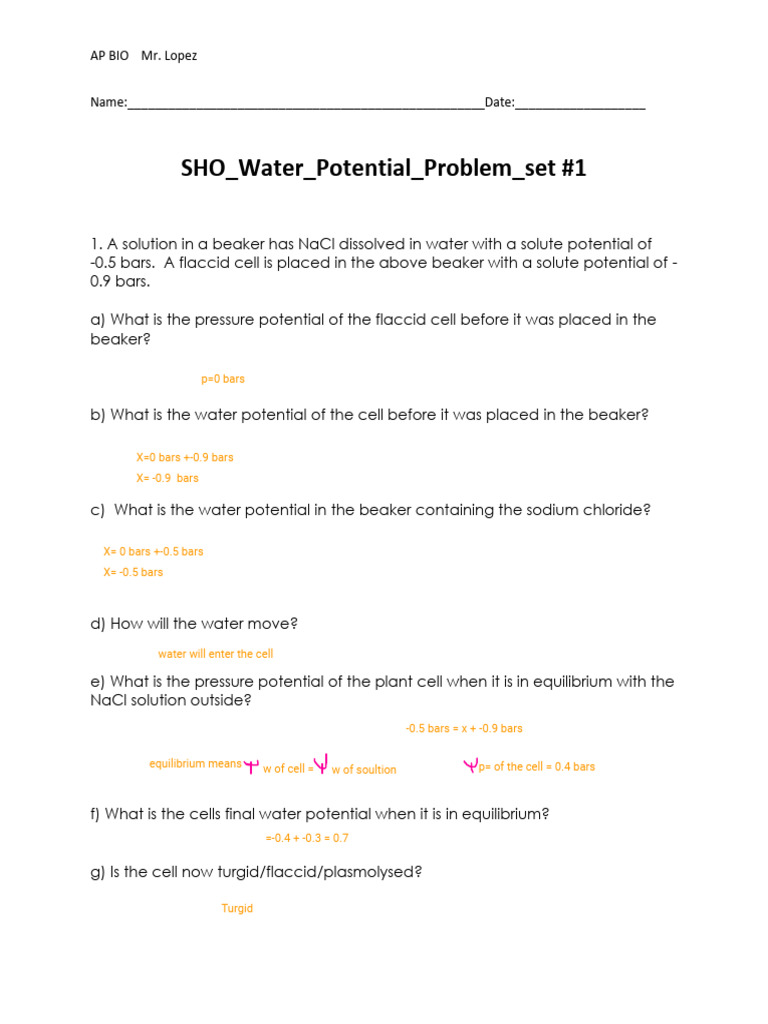 Ariana Moncayo - SHO - Water - Potential - Problems - Set - #1.docx ...