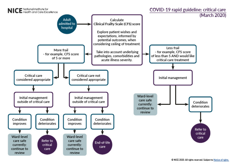 COVID-19 Critical Care Guidelines | PDF | Intensive Care Medicine ...