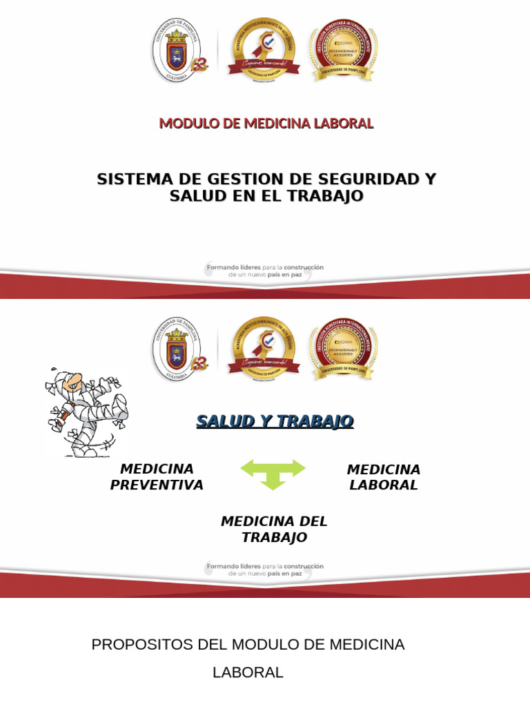 Enfermedad Laboral | PDF | Bienestar | Estado (política)