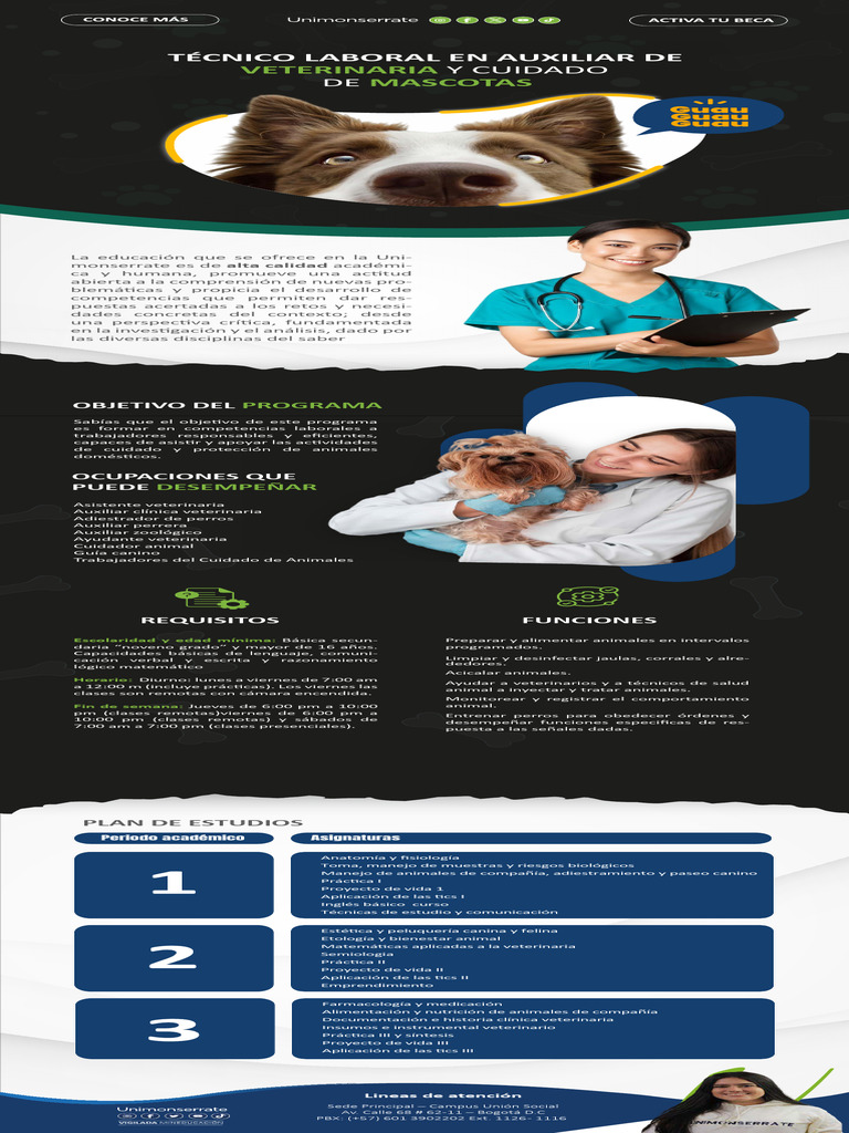 Técnico Laboral en Auxiliar Veterinario | PDF | Medicina Veterinaria