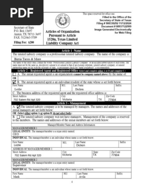 BT Article of Organization
