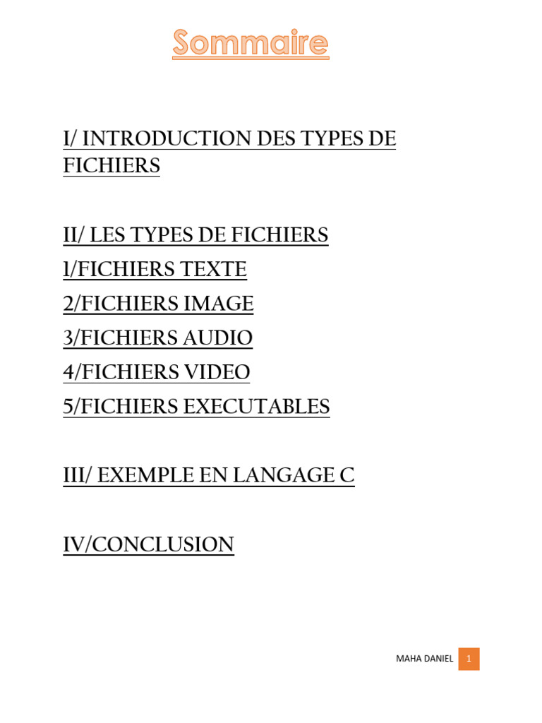Introduction aux Types de Fichiers | PDF | Fichier informatique | C ...