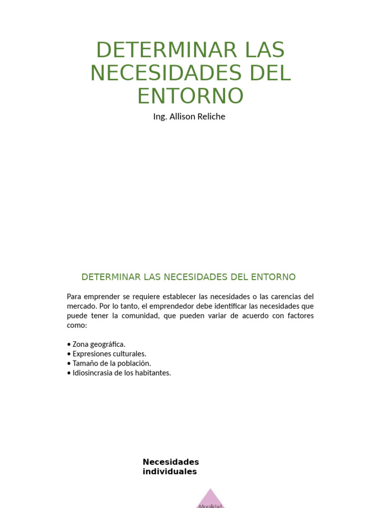 Determinar Las Necesidades Del Entorno | PDF