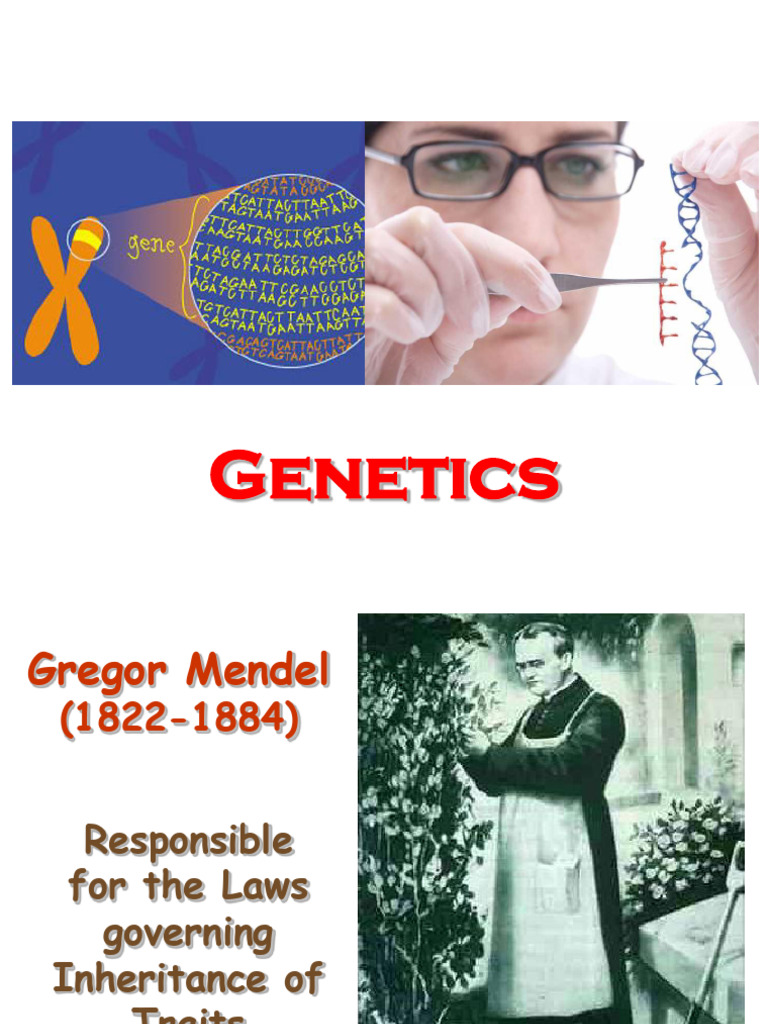 Understanding Genetics and Inheritance | PDF | Genetics | Dominance ...