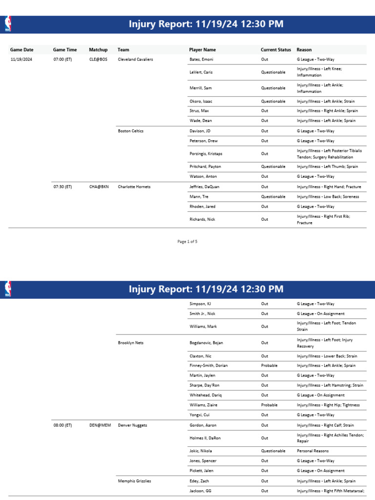 NBA Injury Report for November 19, 2024 | PDF | Ankle | Chicago Bulls