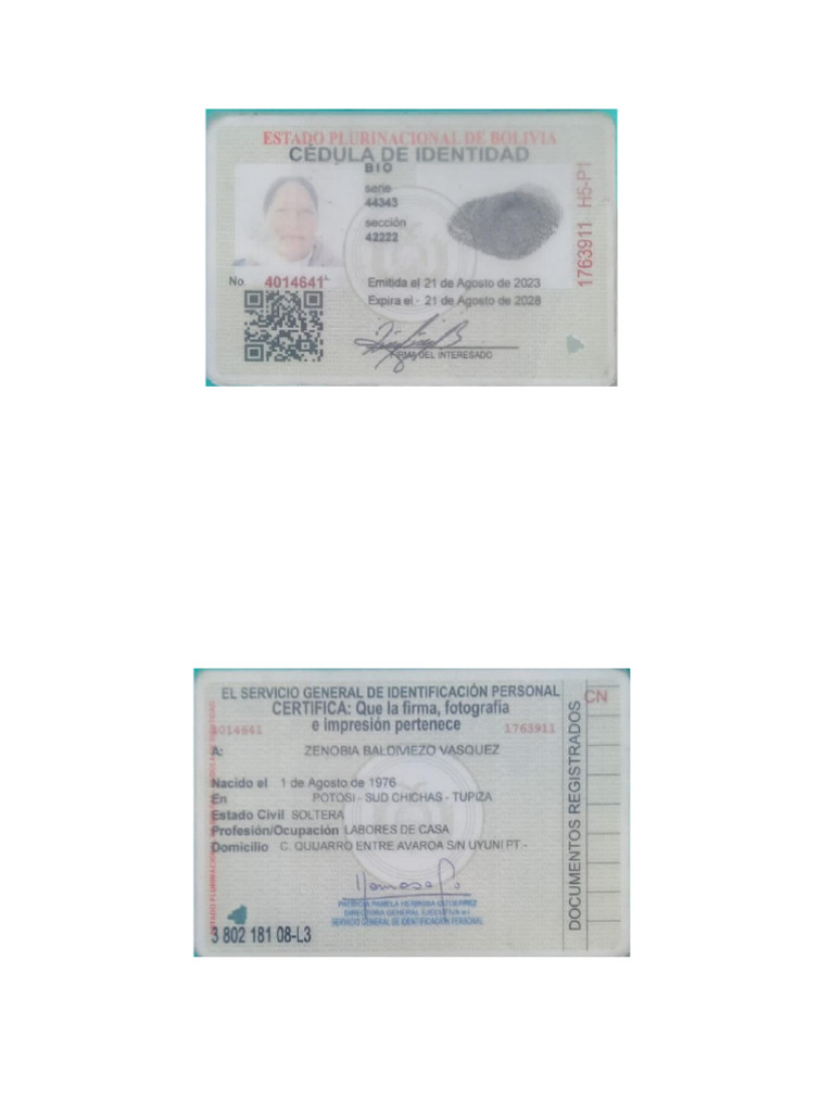 Carnet de Identidad | PDF