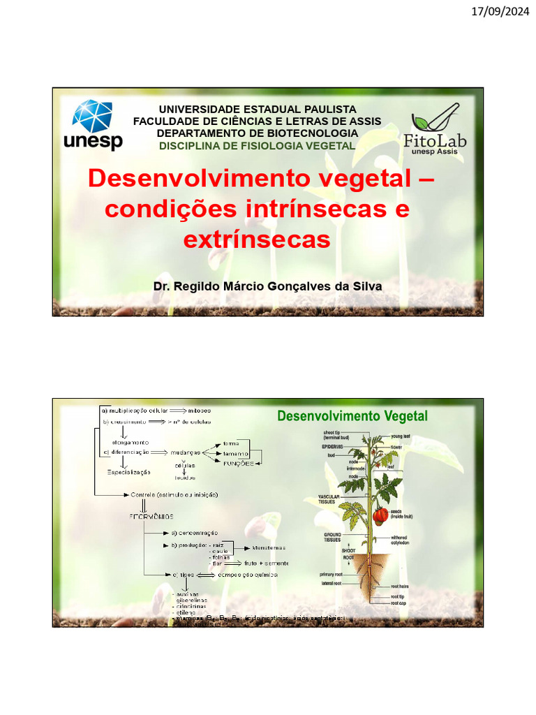 Aula 7 - Desenvolvimento Vegetal - Condições Intrinsecas e Extrinsecas ...