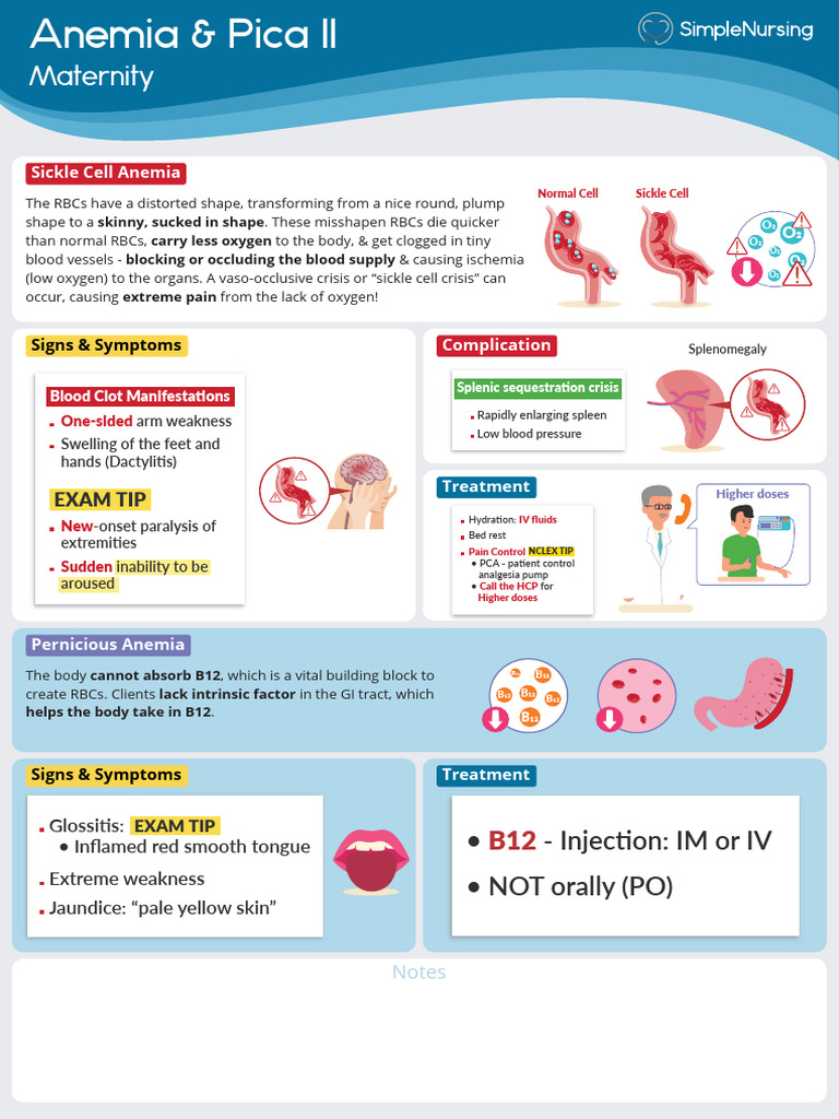 2 - Sickle Cell & Prenicious Anemia | PDF | Anemia | Vitamin B12