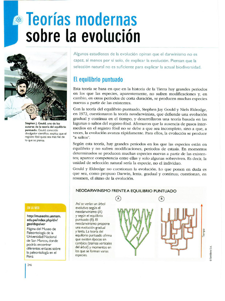 E-4º ANEXO 2 ACT 5-TEORIAS DE LA EVOLUCIÓN y | PDF