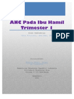 Download ANC Pada Ibu Hamil TM 1 by Kurnia Gusti Utami SN79455538 doc pdf