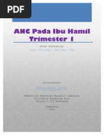 Download ANC Pada Ibu Hamil TM 1 by Kurnia Gusti Utami SN79455538 doc pdf