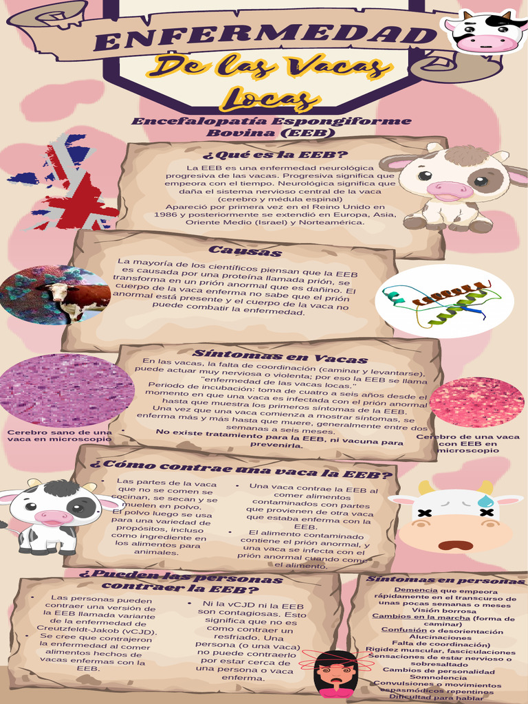 Infografía EEB Vacas Locas PDF Medicina Enfermedades y trastornos — free download