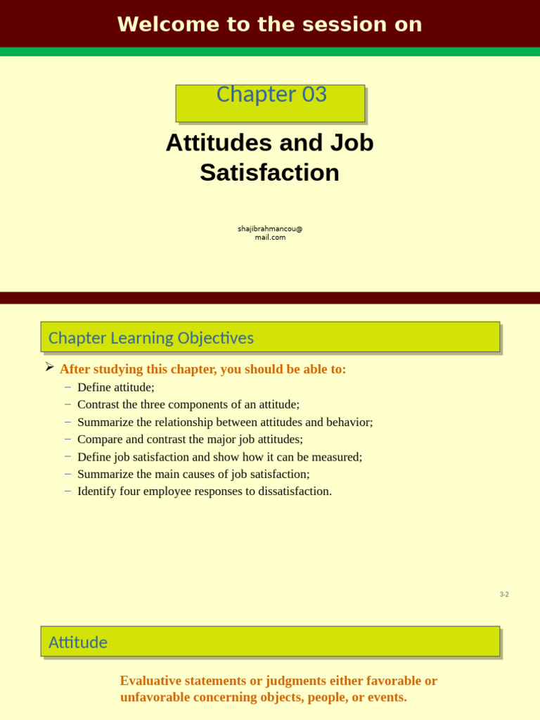 Attitudes and Job Satisfaction Overview | PDF | Attitude (Psychology ...