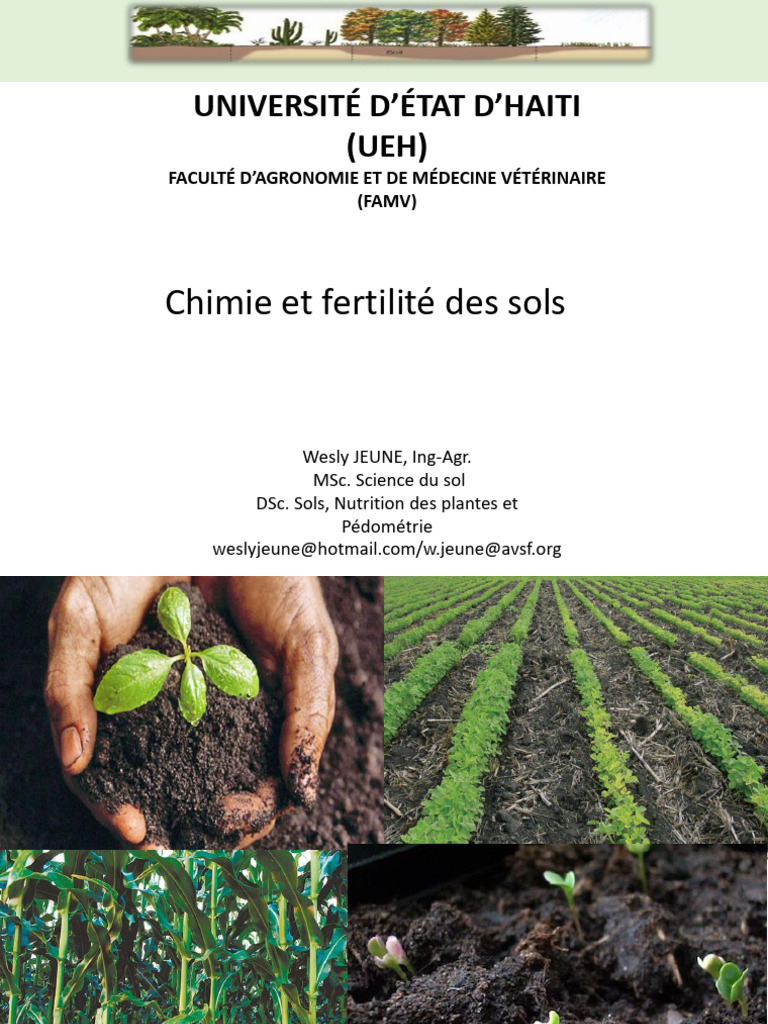 Fertilité des sols et croissance des plantes | PDF | Porosité | Science ...