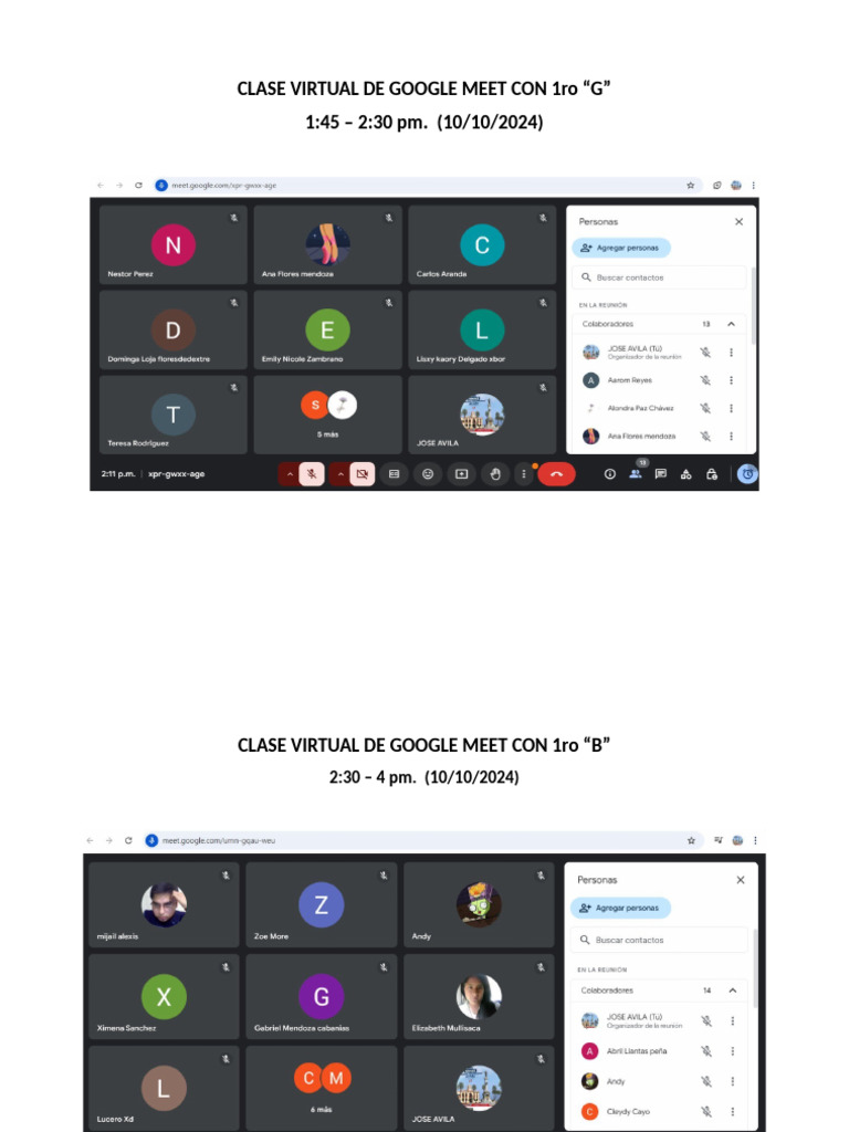 CLASE VIRTUAL GOOGLE MEET 1ro - AVILA | PDF