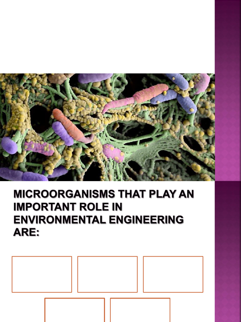 CH 2 Environmental Microbiology | PDF | Bacteria | Organisms