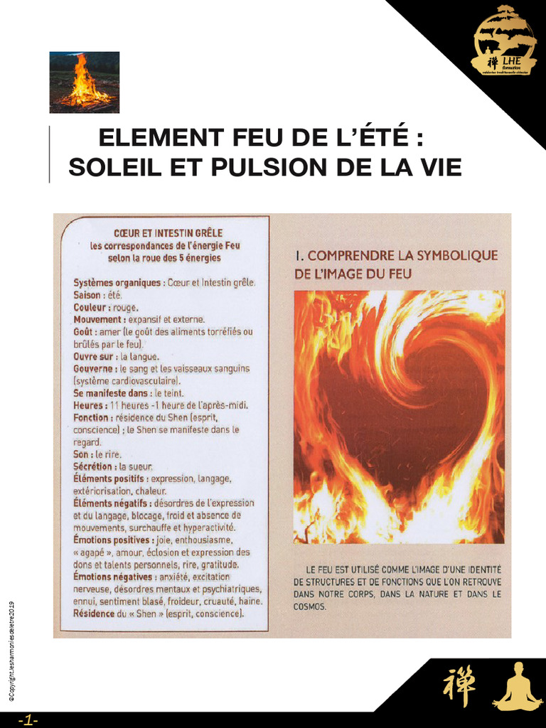 Les 5 Elements | PDF