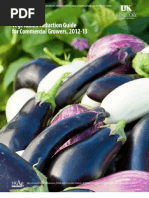 Download Vegetable Production Guide by Suzana Krstanovi SN79461254 doc pdf