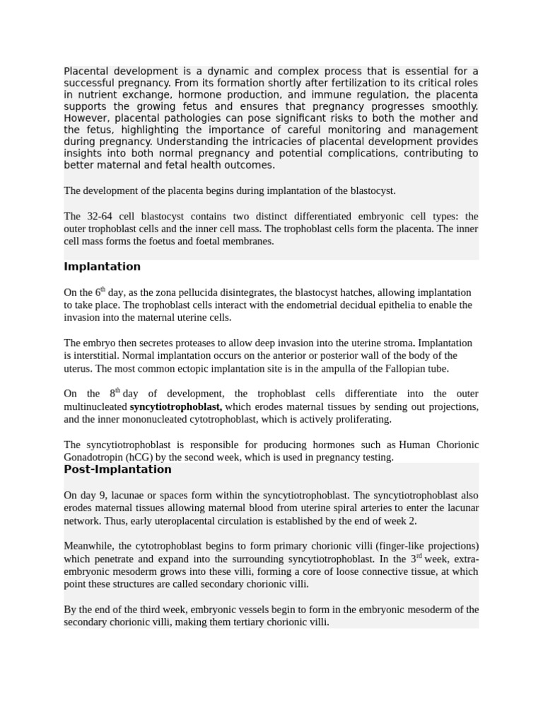 Understanding Placental Development | PDF | Placenta | Human Chorionic ...