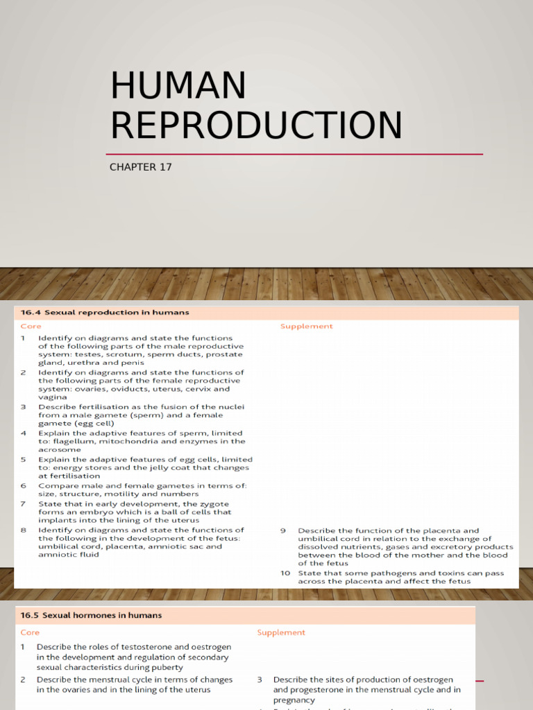 Human Reproduction | PDF | Menstrual Cycle | Luteinizing Hormone