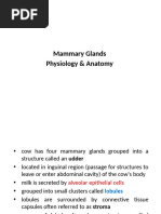 Udder Anatomy and Milk Production Insights | PDF | Lactation ...