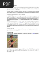 Download Salto Con Garrocha by Rolando Leon SN79472202 doc pdf